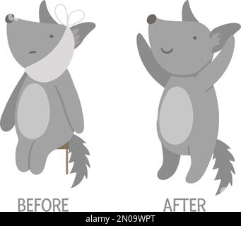 Vektorkrankes Tier versus gesund. Süßer Wolf mit Verband im Gesicht. Komische Patientenfiguren. Medizinische Illustration für Kinder. Vor und nach Il Stock Vektor