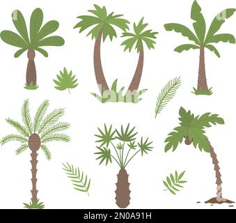 Vektor tropische Palmen Clip Art. Dschungellaub-Illustration. Handgezeichnete exotische Flachpflanzen, isoliert auf weißem Hintergrund. Heller, kindischer Sommer g Stock Vektor