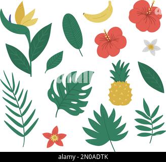 Vektor tropische Früchte, Blumen und Blätter Clip Art. Dschungellaub und Blumen Illustration. Handgezogene exotische, flache Pflanzen, isoliert auf weißem Hintergrund Stock Vektor