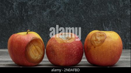 Drei faule Äpfel mit Schimmel auf dunklem Hintergrund Stockfoto