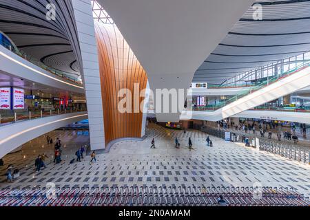 Innenstruktur des internationalen Flughafens Peking daxing Stockfoto