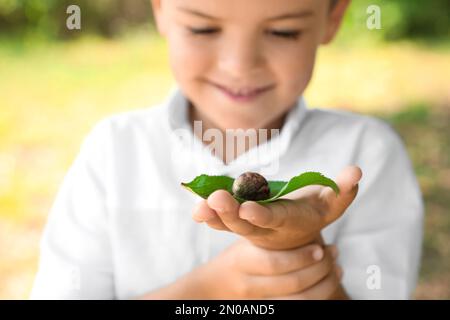 Ein Junge, der draußen mit einer süßen Schnecke spielt, konzentriert sich auf die Hand. Das Kind verbringt Zeit in der Natur Stockfoto