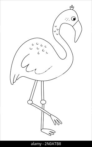 Vektor-süße Flamingo-Umrisse. Lustige tropische exotische Vögel in Schwarz und Weiß. Lustige Malseite für Kinder. Dschungel-Sommer-Clip-Art Stock Vektor