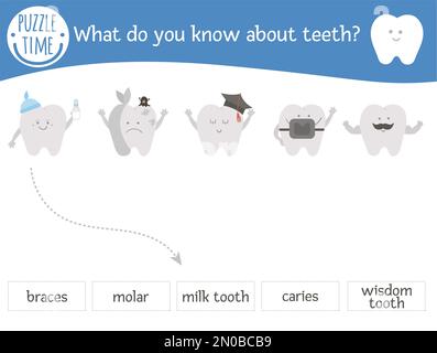 Zahnpflegearbeit mit süßen Zähnen und ihren Namen. Kinderzahnpflege-Puzzle. Süßes Mundhygiene-Rätsel. Suchen Sie den richtigen Arbeitsauftrag Stock Vektor