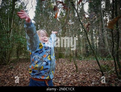 Ein Kleinkind, das an einem Winternachmittag in den Blättern spielt Stockfoto