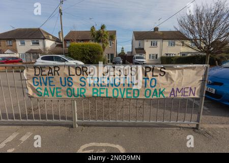Rochford, Großbritannien. Februar 2023. Ein handgefertigtes Banner mit der Aufschrift „lieber Herr Jesus pls Give US strong to Save our geliebte Oak Amen“, das auf einem Geländer in einem Wohngebiet von Rochford, Essex, angebracht ist. Spiegelt lokale Umweltbelange und emotionale Anziehungskraft wider. Demonstranten von Save Holt Farm Oak Tree protestieren, um eine 100 Jahre alte Eiche zu retten. Der Baum wird voraussichtlich bis April 2023 gefällt. Penelope Barritt/Alamy Live News Stockfoto
