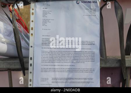 Rochford, Großbritannien. Februar 2023. Demonstranten von Save Holt Farm Oak Tree protestieren, um eine 100 Jahre alte Eiche zu retten. Der Baum wird voraussichtlich bis April 2023 gefällt. Penelope Barritt/Alamy Live News Stockfoto