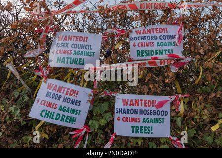 Rochford, Großbritannien. Februar 2023. Protestzeichen an einer Hecke in Rochford, Essex, beschuldigen Gemeinderäte, Entwickler und Berater von Verbrechen gegen Natur, Kinder, Bewohner und Bäume. Herbstlaub umgibt das Display. Demonstranten von Save Holt Farm Oak Tree protestieren, um eine 100 Jahre alte Eiche zu retten. Der Baum wird voraussichtlich bis April 2023 gefällt. Penelope Barritt/Alamy Live News Stockfoto