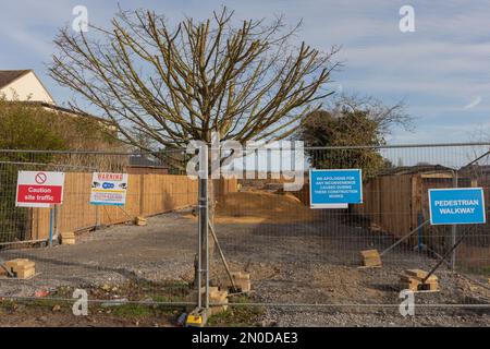 Rochford, Großbritannien. 5. Februar 2023. Demonstranten von Save holt Farm Oak Tree haben ihr Baumlager aus dem Eichenbaum entfernt, auf richterlichen Befehl von Bloor Homes Baufirma. Der Auftrag tritt am 6. Februar 2023 in Kraft und besagt, dass Bloor Homes oder seine Auftragnehmer nicht absichtlich behindert werden dürfen. Die Gruppe hat nun ein kleines Lager gegenüber dem Baum aufgebaut. Die 100 Jahre alte Eiche wird voraussichtlich jederzeit bis zum 16. April 2023 gefällt. Penelope Barritt/Alamy Live News Stockfoto