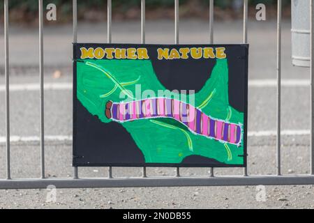 Rochford, Großbritannien. Februar 2023. Umweltkunstwerk mit gestreifter raupe und Blatt, gemalt auf einem schwarzen Schild mit „Mother Nature“ in fettgedrucktem gelbem Text. An einem Metallzaun in Rochford, Essex. Teil einer lokalen Initiative zur Förderung der biologischen Vielfalt und des Umweltbewusstseins. Demonstranten von Save Holt Farm Oak Tree protestieren, um eine 100 Jahre alte Eiche zu retten. Der Baum wird voraussichtlich bis April 2023 gefällt. Penelope Barritt/Alamy Live News Stockfoto