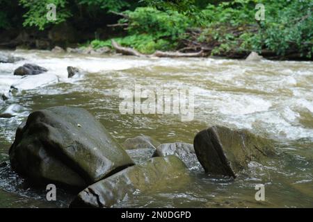 Podkarpacie, Sommer, Juli, San River, nasse Felsen inmitten des rauschenden Wassers eines Bergflusses Stockfoto