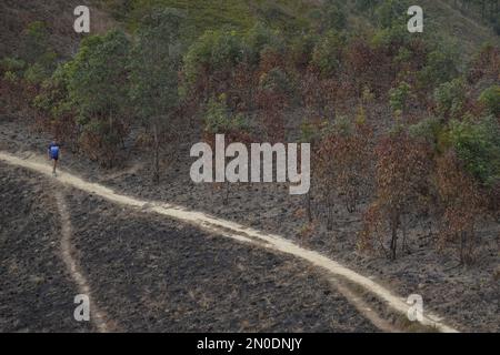 Nach dem Lauffeuer am Kai Kung Leng (Rooster Ridge) im Lam Tsuen Country Park, Yuen Long. Am 24. Januar 2023 brannten mindestens 2 ausgedehnte Flammenpfade auf dem Berg Kai Kung Leng für 16 Stunden. 01FEB23 SCMP/Elson Li Stockfoto