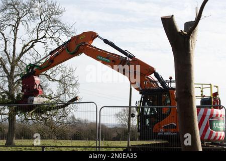 Hartwell, Aylesbury, Großbritannien. 5. Februar 2023. Heute HS2 Bäume Fällen. HS2 haben heute noch mehr Bäume gefällt, neben der A418 in Hartwell, Aylesbury. HS2 haben Tausende von Bäumen entlang der Strecke der Hochgeschwindigkeitsbahn 2 von London nach Birmingham zerstört. HS2 hat verheerende Auswirkungen auf die Lebensräume und Wälder der Tierwelt in Buckinghamshire. Kredit: Maureen McLean/Alamy Live News Stockfoto