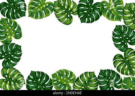 Tropischer Dschungelrahmen mit Palmenmonsterablätter. Vektor, handgezeichnet, Randdarstellung für Grußkarte, Poster, Logo, Verpackung. Banner mit Platz für Stock Vektor
