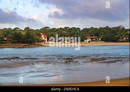 Der See Lac d'Hossegor ist der einzige Ort im Departement Landes, wo Austern angebaut werden; Südwestfrankreich Stockfoto