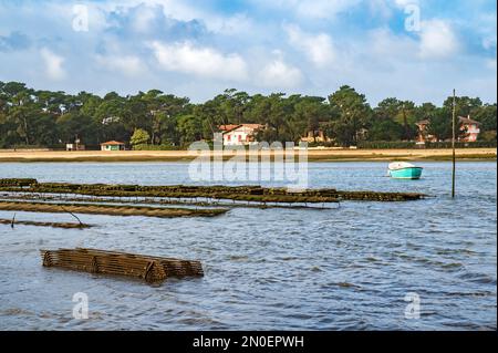 Der See Lac d'Hossegor ist der einzige Ort im Departement Landes, wo Austern angebaut werden; Südwestfrankreich Stockfoto