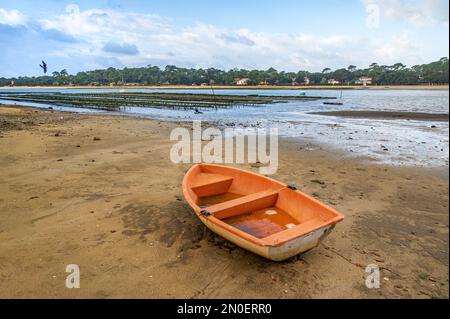 Der See Lac d'Hossegor ist der einzige Ort im Departement Landes, wo Austern angebaut werden; Südwestfrankreich Stockfoto