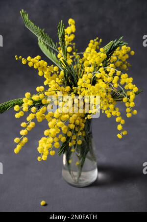 Ein Strauß gelber Mimosablüten steht in einer Glasvase auf dunkelgrauem Hintergrund. Konzept vom 8. März, fröhlicher Frauentag. Vertikale Ausrichtung. Stockfoto