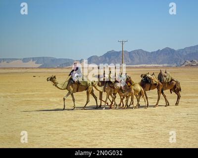Ein Mann mit einer Schar Kamele durch die wunderschöne Landschaft der Wüste Stockfoto