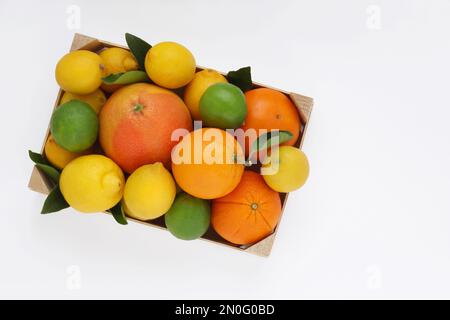 Mischung aus Zitrusfrüchten, Orangen, Grapefruit, Zitronen und Limone mit Blättern in einer Holzbox auf weißem Hintergrund, Tischansicht. Foto von oben. Stockfoto