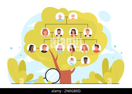 Genealogie, Infografik Stammbaum-Vektordarstellung. Grüner Cartoon-Baum mit Porträtsymbolen von vier Generationen von Verwandten auf Zweigen, Lupe, um Geschichte und Vorfahren für ein Wiedersehen zu studieren Stock Vektor