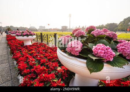 Hanoi, Vietnam, Januar 2023. Blumen vor dem Hotel ein Panoramablick auf das Mausoleum von Ho Chi Minh im Stadtzentrum Stockfoto