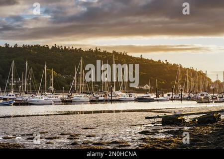 Farbenfroher Sonnenaufgang im Sommer im Yachthafen an der Flussmündung des Owenabue mit verankerten Segelbooten. Crosshaven, co Cork, Irland Stockfoto