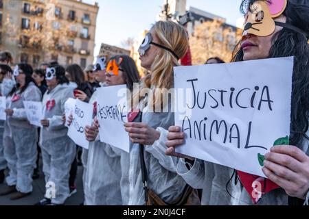 Barcelona, Spanien. 05. Februar 2023. Demonstranten, die Masken tragen, halten während der Demonstration Plakate mit der Äußerung ihrer Meinung. Hunderte von Demonstranten, die von der Animalistischen Partei PACMA aufgerufen wurden, haben im Zentrum von Barcelona demonstriert und das kürzlich von der spanischen Regierung verabschiedete Tierschutzgesetz abgelehnt, das Jagdhunde ausschließt. Spanien ist das einzige Land in der Europäischen Union, in dem die Jagd mit Hunden noch erlaubt ist. Kredit: SOPA Images Limited/Alamy Live News Stockfoto