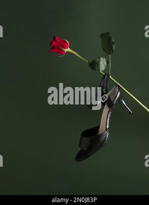 Elegante schwarze Sandalen mit hohen Absätzen und Rosenblume auf kräftigem Grün. Natur- und Schönheits-Blog-Konzept. Valentinstag- oder 8. März-Konzept. Stockfoto