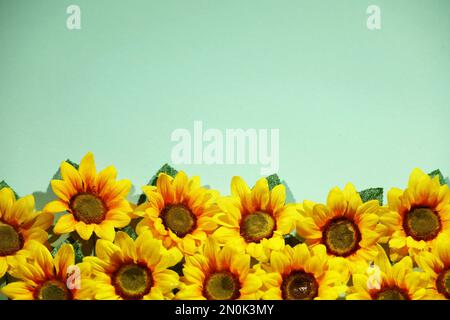 Sonnenblumen-Kunstblumen-Hintergrundbild im blauen Raum Stockfoto