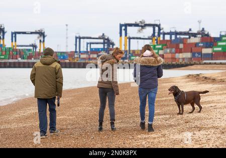 Hundefreunde an einem Kieselstrand in Felixstowe, Suffolk, Großbritannien Stockfoto