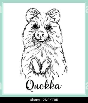 Handgezeichnete Quokka-Skizze, isoliert auf weißem Hintergrund. Vektordarstellung. Stock Vektor