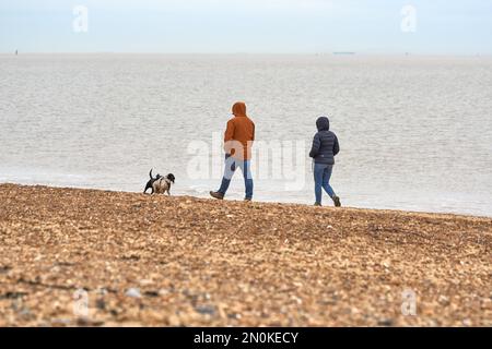 Hundefreunde an einem Kieselstrand in Felixstowe, Suffolk, Großbritannien Stockfoto