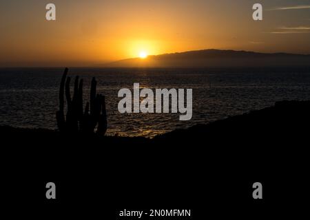 Sonnenuntergang über Gomera, Kanarische Inseln, mit Kaktus im Vordergrund und Insel im Hintergrund Stockfoto