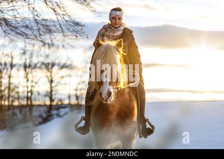 Ein junges Reitermädchen im Teenageralter reitet auf ihrem haflinger-Pferd bei Sonnenuntergang durch den Schnee vor einer verschneiten ländlichen Winterlandschaft Stockfoto