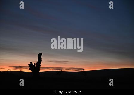 Sonnenaufgang in den Lammermuir-Hügeln Stockfoto