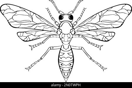 Wespe mit gespreizten Flügeln Stock Vektor