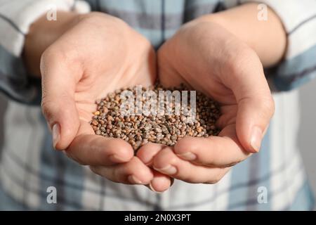 Eine Frau, die einen Haufen Rettichsamen in der Hand hält, Nahaufnahme. Gemüsepflanzen Stockfoto