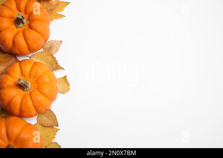 Zusammensetzung mit Kürbissen und Herbstblättern auf weißem Hintergrund, Draufsicht Stockfoto