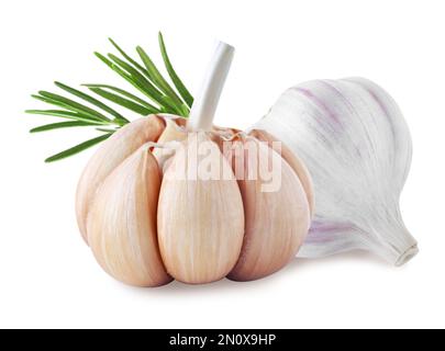 Frischer Knoblauch mit Rosmarin auf weißem Hintergrund Stockfoto