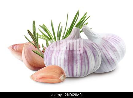 Frischer Knoblauch mit Rosmarin auf weißem Hintergrund Stockfoto