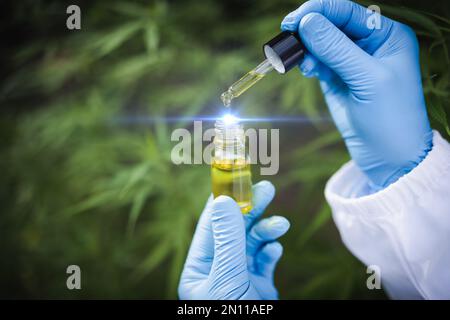 Tropfen Hanföl, CBD-Cannabisöl in der Pipette, medizinisches Marihuana-Konzept. Stockfoto