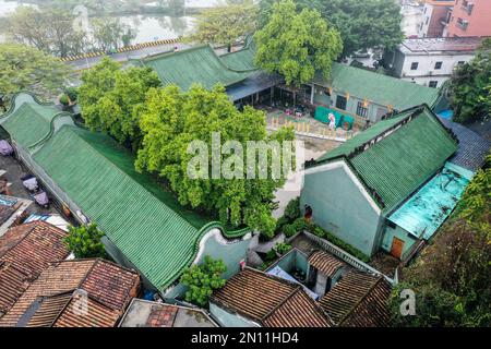 (230206) -- FOSHAN, 6. Februar 2023 (Xinhua) -- Dieses Luftfoto wurde am 12. Januar 2023 aufgenommen und zeigt Guangdong Lion Tänzer, die in Foshan, Südchina Provinz Guangdong, auftreten. Der Guangdong Lion Dance, der 2006 als nationales immaterielles Kulturerbe gelistet wurde, ist eine Kombination aus Kampfsport, Tanz und Musik. Sie entstand aus dem königlichen Löwentanz während der Tang-Dynastie (618-907) und wurde später von Migranten aus dem Norden in den Süden eingeführt. Der Guangdong Lion Dance entwickelte sich während der Ming-Dynastie (1368-1644) zu seiner modernen Form. In der chinesischen Tradition betrachten die Menschen den Löwen als einen Stockfoto