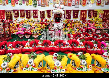 (230206) -- FOSHAN, 6. Februar 2023 (Xinhua) -- Guangdong Lion Tänzer üben auf einer Trainingsbasis in Foshan, Südchina Provinz Guangdong, 13. Januar 2023. Der Guangdong Lion Dance, der 2006 als nationales immaterielles Kulturerbe gelistet wurde, ist eine Kombination aus Kampfsport, Tanz und Musik. Sie entstand aus dem königlichen Löwentanz während der Tang-Dynastie (618-907) und wurde später von Migranten aus dem Norden in den Süden eingeführt. Der Guangdong Lion Dance entwickelte sich während der Ming-Dynastie (1368-1644) zu seiner modernen Form. In der chinesischen Tradition betrachten die Menschen den Löwen als Symbol des Tapferen Stockfoto