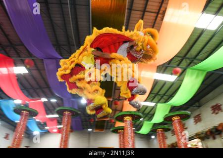 (230206) -- FOSHAN, 6. Februar 2023 (Xinhua) -- Guangdong Lion Tänzer üben auf einer Trainingsbasis in Foshan, Südchina Provinz Guangdong, 13. Januar 2023. Der Guangdong Lion Dance, der 2006 als nationales immaterielles Kulturerbe gelistet wurde, ist eine Kombination aus Kampfsport, Tanz und Musik. Sie entstand aus dem königlichen Löwentanz während der Tang-Dynastie (618-907) und wurde später von Migranten aus dem Norden in den Süden eingeführt. Der Guangdong Lion Dance entwickelte sich während der Ming-Dynastie (1368-1644) zu seiner modernen Form. In der chinesischen Tradition betrachten die Menschen den Löwen als Symbol des Tapferen Stockfoto