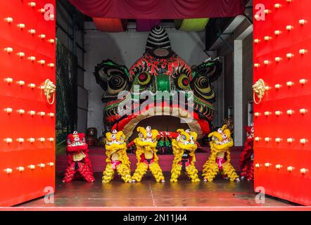 (230206) -- FOSHAN, 6. Februar 2023 (Xinhua) -- Guangdong Lion Tänzer treten am 13. Januar 2023 auf einer Trainingsbasis in Foshan, Südchina-Provinz Guangdong, auf. Der Guangdong Lion Dance, der 2006 als nationales immaterielles Kulturerbe gelistet wurde, ist eine Kombination aus Kampfsport, Tanz und Musik. Sie entstand aus dem königlichen Löwentanz während der Tang-Dynastie (618-907) und wurde später von Migranten aus dem Norden in den Süden eingeführt. Der Guangdong Lion Dance entwickelte sich während der Ming-Dynastie (1368-1644) zu seiner modernen Form. In der chinesischen Tradition betrachten die Menschen den Löwen als Symbol des Tapferen Stockfoto