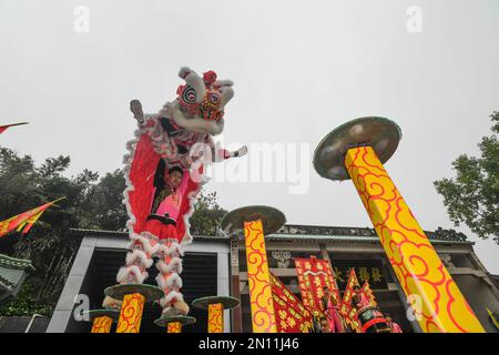 (230206) -- FOSHAN, 6. Februar 2023 (Xinhua) -- Guangdong Lion Dancers in Foshan, Südchina Guangdong Province, 12. Januar 2023. Der Guangdong Lion Dance, der 2006 als nationales immaterielles Kulturerbe gelistet wurde, ist eine Kombination aus Kampfsport, Tanz und Musik. Sie entstand aus dem königlichen Löwentanz während der Tang-Dynastie (618-907) und wurde später von Migranten aus dem Norden in den Süden eingeführt. Der Guangdong Lion Dance entwickelte sich während der Ming-Dynastie (1368-1644) zu seiner modernen Form. In der chinesischen Tradition betrachten die Menschen den Löwen als Symbol für Tapferkeit und Stärke, w Stockfoto