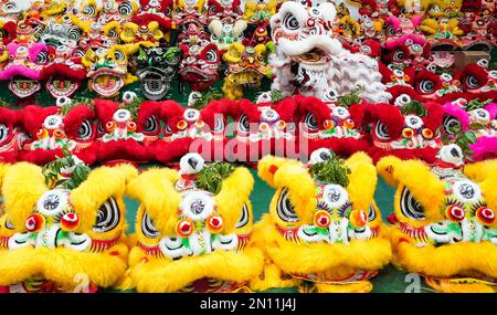 (230206) -- FOSHAN, 6. Februar 2023 (Xinhua) -- Guangdong Lion Dancers are at a Training Base in Foshan, South China's Guangdong Province, 13. Januar 2023. Der Guangdong Lion Dance, der 2006 als nationales immaterielles Kulturerbe gelistet wurde, ist eine Kombination aus Kampfsport, Tanz und Musik. Sie entstand aus dem königlichen Löwentanz während der Tang-Dynastie (618-907) und wurde später von Migranten aus dem Norden in den Süden eingeführt. Der Guangdong Lion Dance entwickelte sich während der Ming-Dynastie (1368-1644) zu seiner modernen Form. In der chinesischen Tradition betrachten die Menschen den Löwen als Symbol des Tapferen Stockfoto