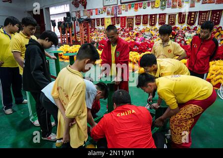 (230206) -- FOSHAN, 6. Februar 2023 (Xinhua) -- Guangdong Lion Tänzer üben auf einer Trainingsbasis in Foshan, Südchina Provinz Guangdong, 13. Januar 2023. Der Guangdong Lion Dance, der 2006 als nationales immaterielles Kulturerbe gelistet wurde, ist eine Kombination aus Kampfsport, Tanz und Musik. Sie entstand aus dem königlichen Löwentanz während der Tang-Dynastie (618-907) und wurde später von Migranten aus dem Norden in den Süden eingeführt. Der Guangdong Lion Dance entwickelte sich während der Ming-Dynastie (1368-1644) zu seiner modernen Form. In der chinesischen Tradition betrachten die Menschen den Löwen als Symbol des Tapferen Stockfoto