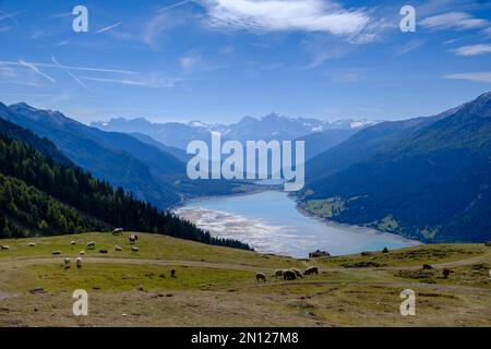 Aussichtspunkt des Reschen-Sees und der Ortler-Gruppe vom Plamort-Plateau, Reschen, Vinschgau, Südtirol, Italien, Europa Stockfoto